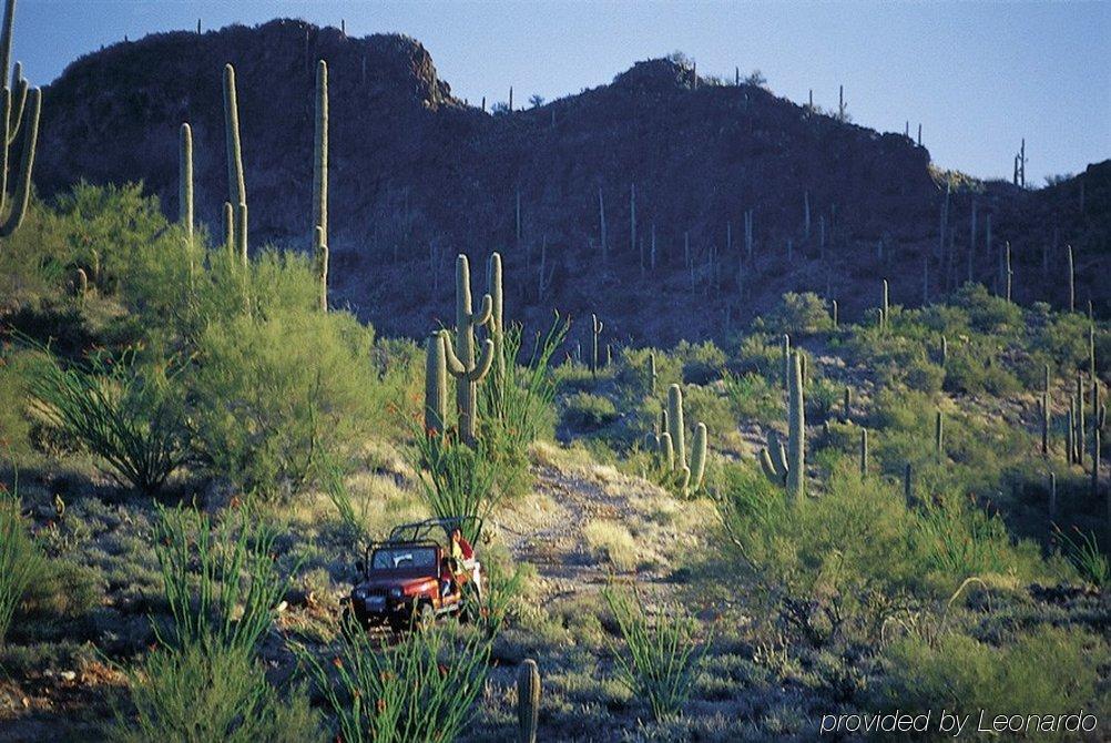 Rancho De Los Caballeros Wickenburg Eksteriør bilde