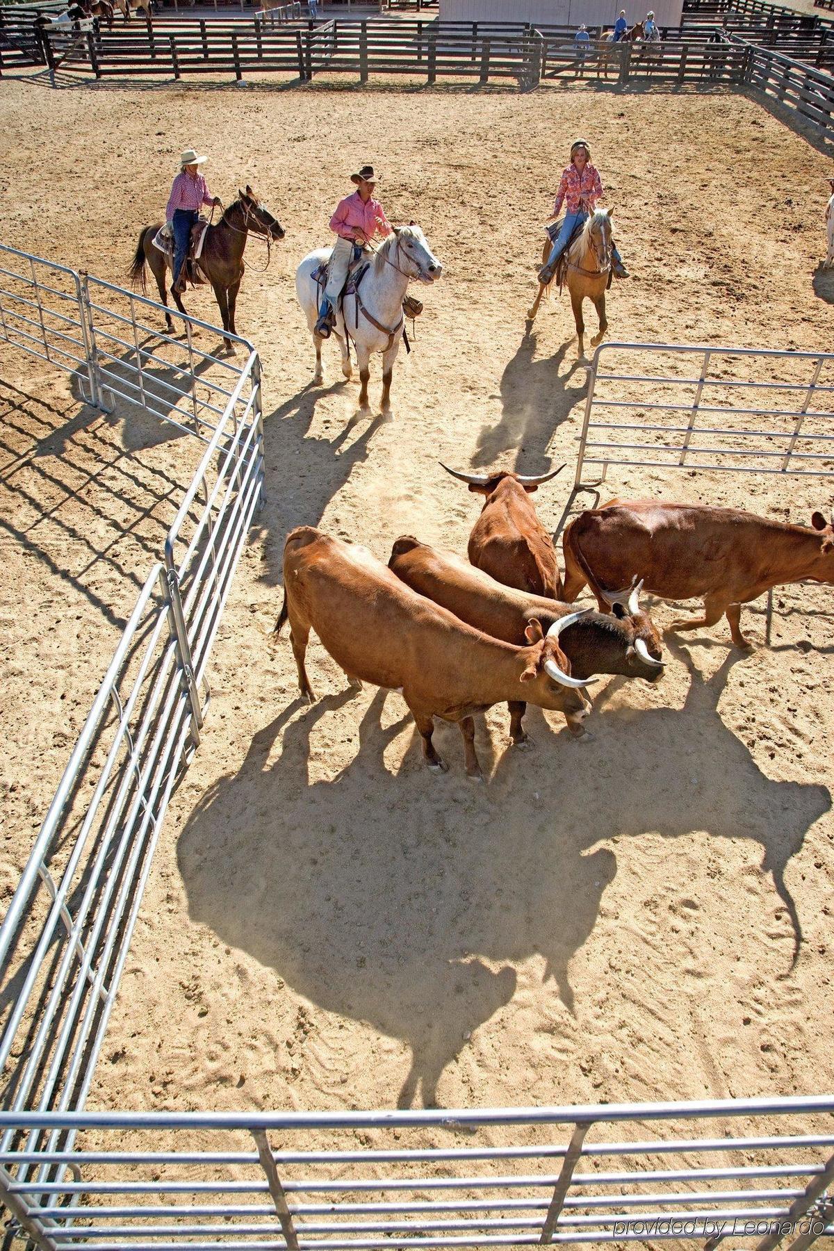 Rancho De Los Caballeros Wickenburg Eksteriør bilde