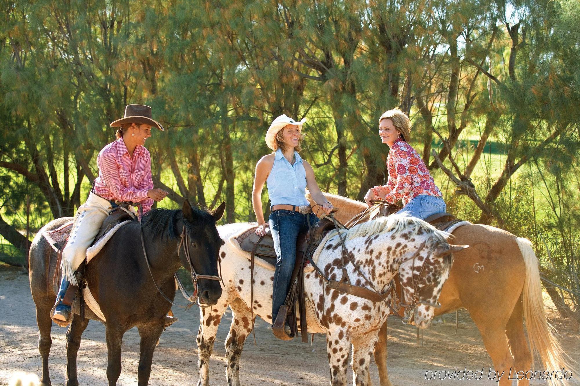 Rancho De Los Caballeros Wickenburg Eksteriør bilde
