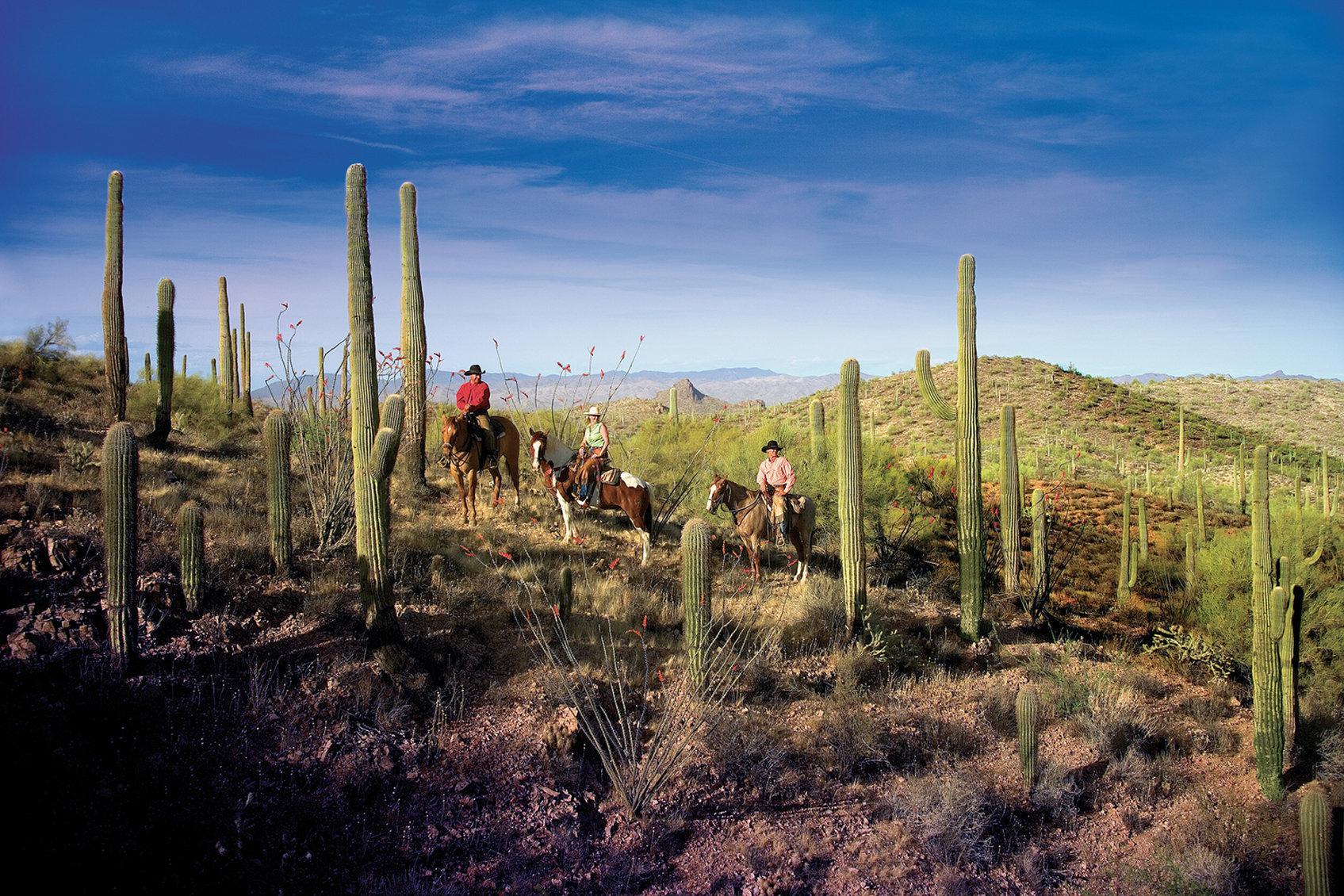 Rancho De Los Caballeros Wickenburg Eksteriør bilde